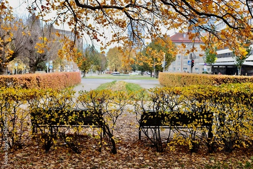 Rococo autumn in a public park in Tallinn, Estonia