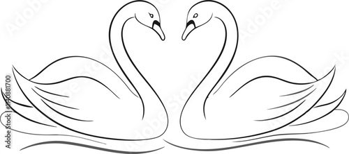 Couple swans line art style vector illustration. Couple of romantic birds for wedding invitation design