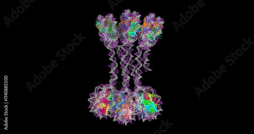 H1-Bound 6-Nucleosome Array, 3D structure, 4K