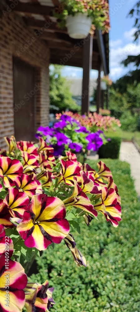 flowers decoration house flowers decoration house