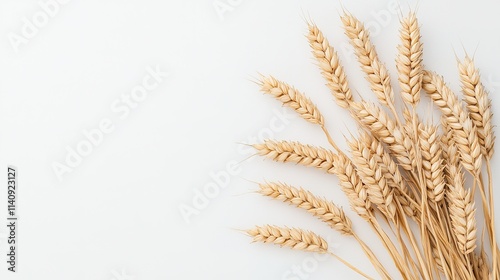 A close-up of golden wheat stalks against a plain white background, symbolizing agriculture and natural beauty.