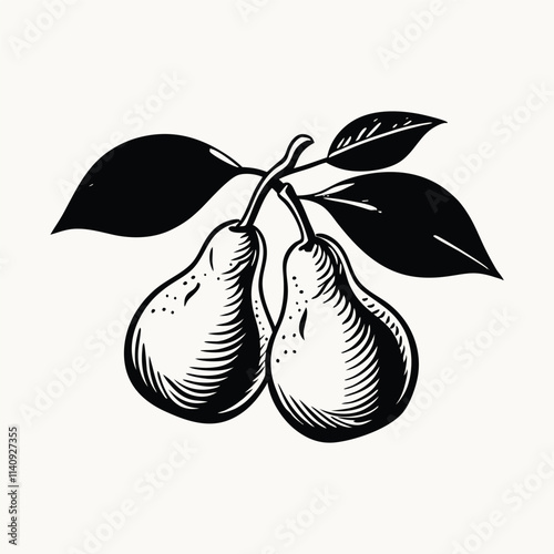 Isolated pair of pears on a branch vector illustration. Fruit on a white background. Ripe green-yellow pears. Organic healthy food. Isolated vector illustration