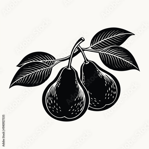 Isolated pair of pears on a branch vector illustration. Fruit on a white background. Ripe green-yellow pears. Organic healthy food. Isolated vector illustration