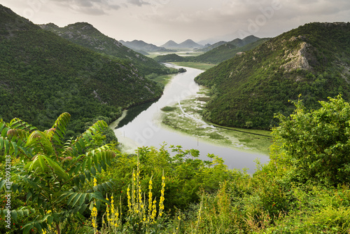 Canvas Print Rijeka Crnojevića Fluss, Skadarsko Jezero Nationalpark, Montenegro