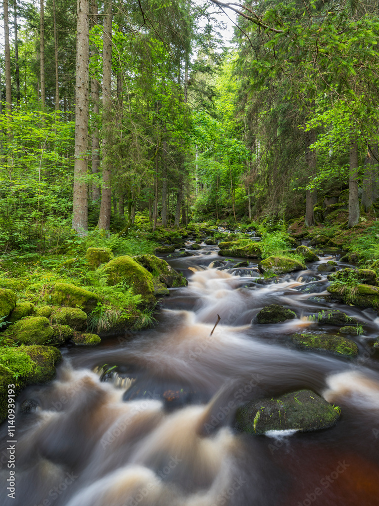 Obraz premium Höllfall, Großer Kamp, Waldviertel, Niederösterreich, Österreich