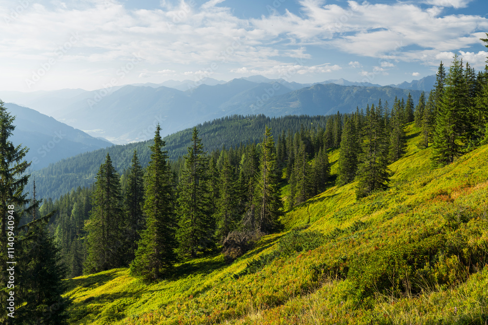 Fototapeta premium Blick in die Seckauer Tauern, Steiermark, Österreich
