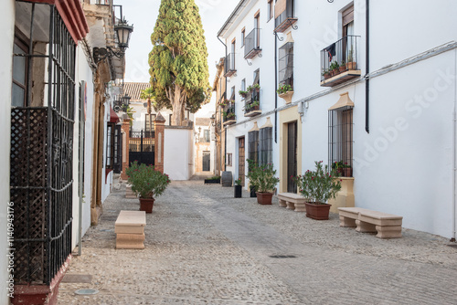 Typical street in the city of Ronda, Malaga, Andalusia, Spain.