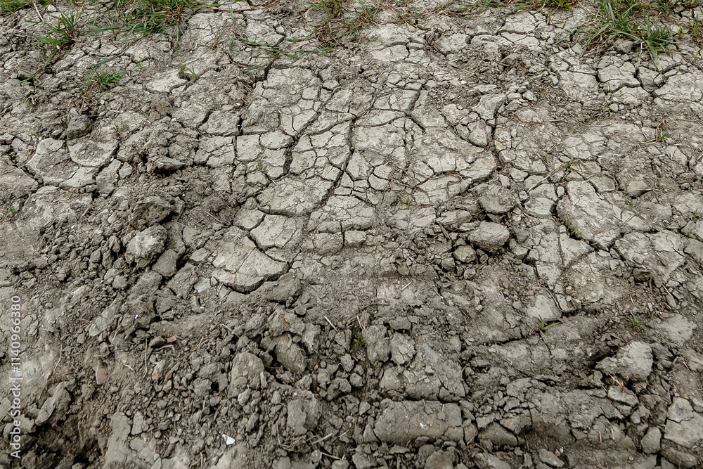 Image shows severely cracked, dry earth. Sparse vegetation struggles to survive. Drought evident. Image shows severely cracked, dry earth. Sparse vegetation struggles to survive. Drought evident.