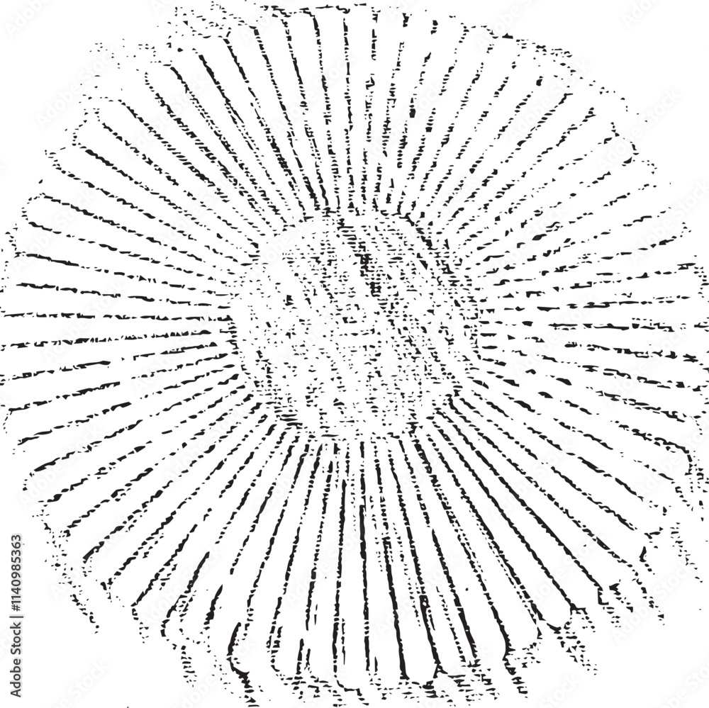 Obraz premium Circular texture. Distressed uneven grunge background. Abstract vector illustration. Overlay to create interesting effect and depth. Isolated on white background.EPS10.