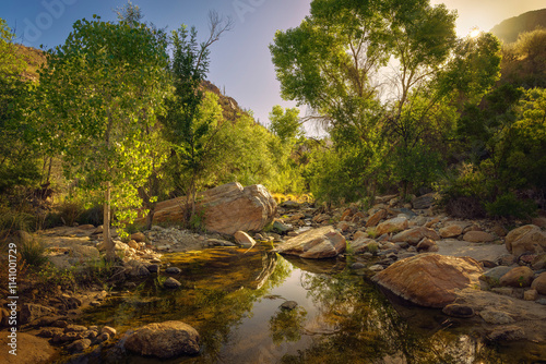 Scenic view of a peaceful creek surrounded by lush greenery and large boulders under soft sunlight, showcasing nature's beauty and tranquility. photo