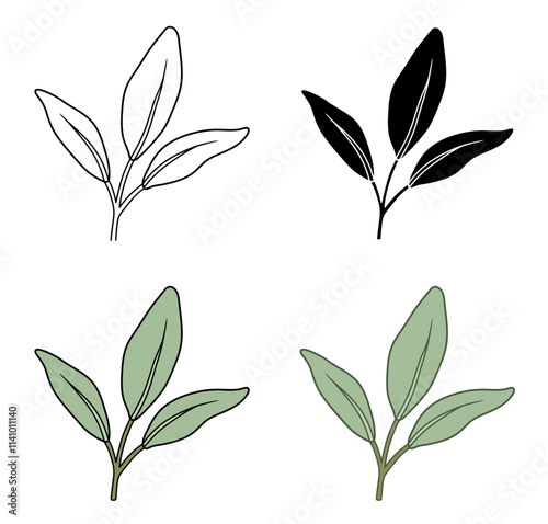 White Sage Plant with Three Leaves Clipart Set with Outline, Silhouette & Color Variations on a Transparent Background