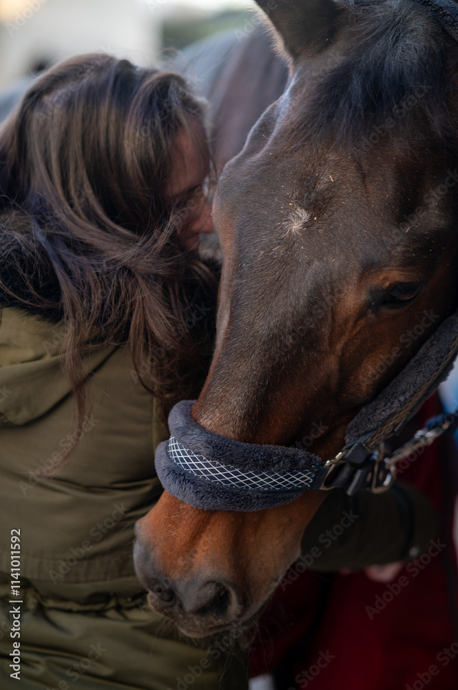 Obraz premium woman with a winter jacket preparing a horse 