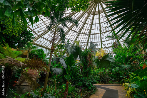 Large greenhouse with tropical plants. Botanical garden.