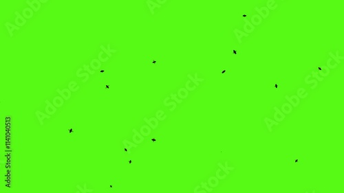 Flying flies animation on green