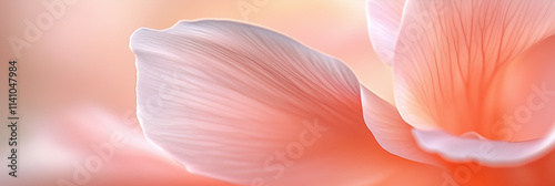 Macro Close-Up of Soft Pink Flower Petals with Gentle Light