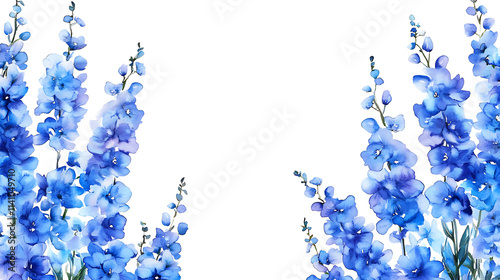 Fototapeta Naklejka Na Ścianę i Meble -  Delphinium themed frame or border for photos, with tall spikes of blue flowers, watercolor illustration, white color background