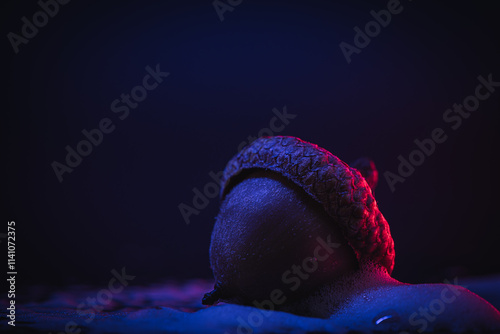 Close-up of a single acorn with a cap on a surface with foam. Neon glow. Abstract background, wallpaper, nature themes photo