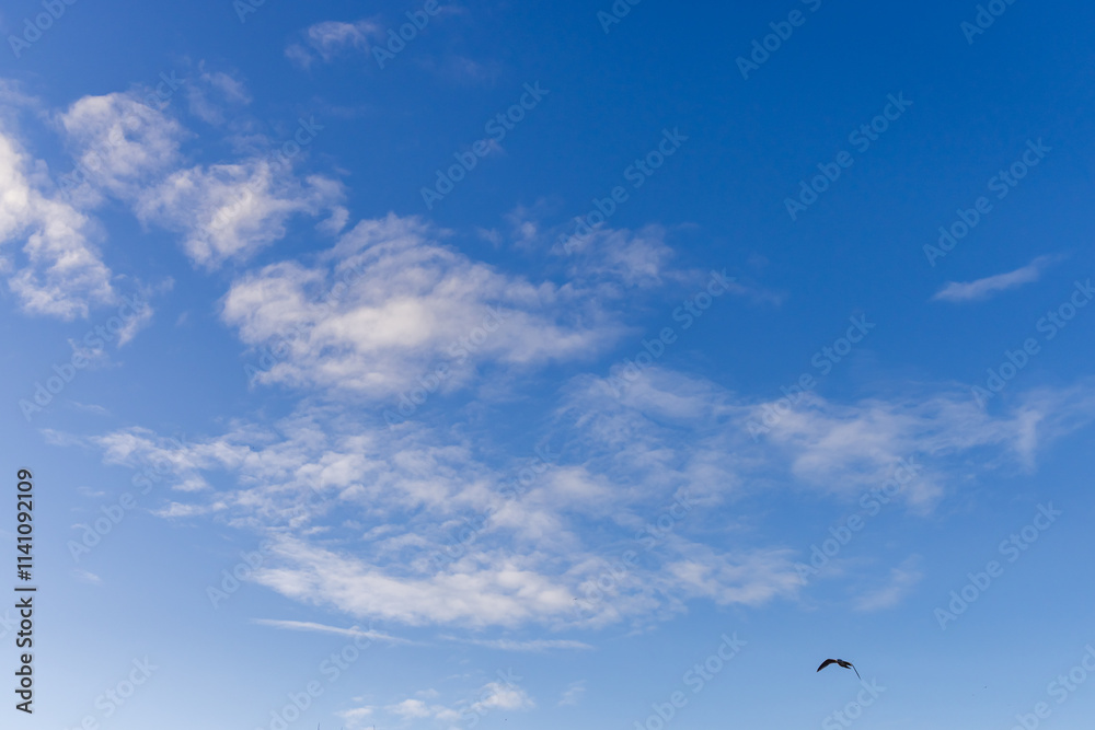 Peaceful Sky With Clouds and a Bird Flying Across Peaceful Sky With Clouds and a Bird Flying Across