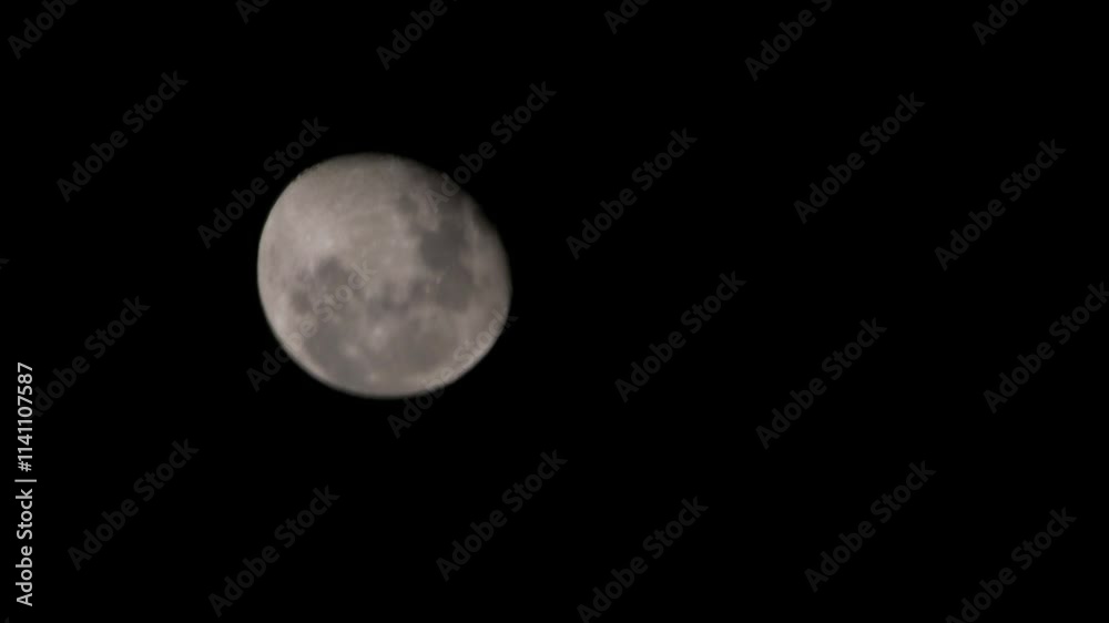 Tokyo,Japan - December 18, 2024: Reflection of the moon on pond surface
Tokyo,Japan - December 18, 2024: Reflection of the moon on pond surface
