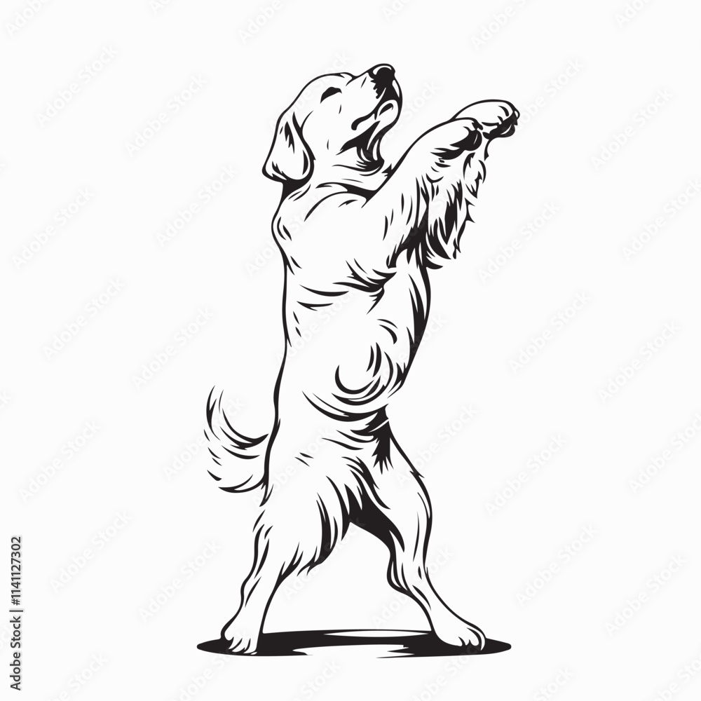 Fototapeta premium Golden Retriever Dog Dancing Vector image isolated on white background.