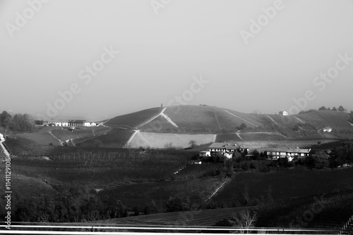 the vineyards of the Piedmontese Langhe in black and white with its hills in autumn 2024