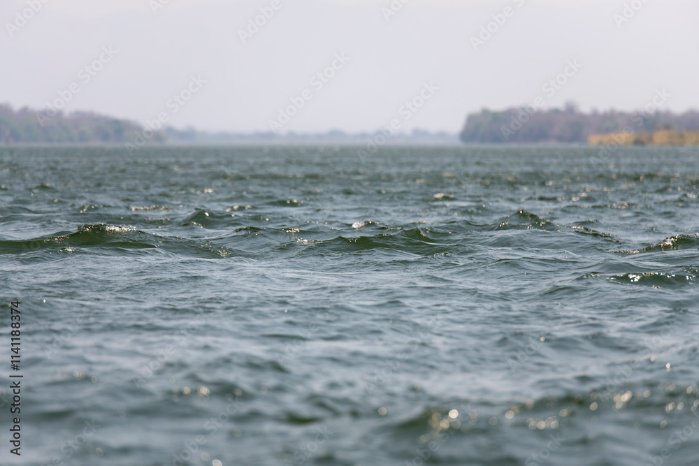 View of the Zambezi River View of the Zambezi River