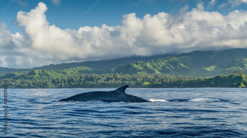 Fototapeta premium Whale surfacing near tropical island coastline