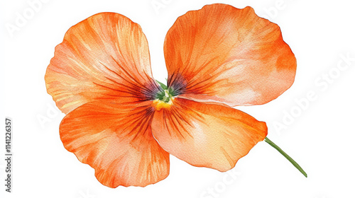 Fototapeta Naklejka Na Ścianę i Meble -  Bright orange watercolor flower petal isolated on white background