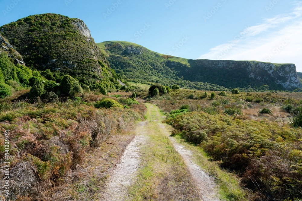 Path Through Okia Flat, Scenic Coastal Walkway in New Zealand Path Through Okia Flat, Scenic Coastal Walkway in New Zealand