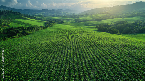 Aerial view of lush green fields with advanced irrigation under sunny sky