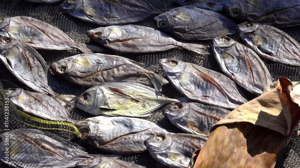 Tropical fish dry on a net to preserve them. Tropical fish dry on a net to preserve them.