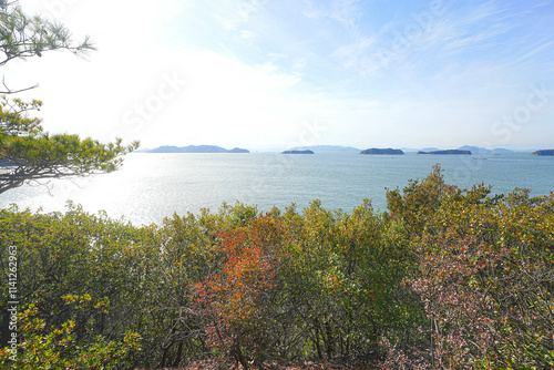 本荘八幡宮 photo