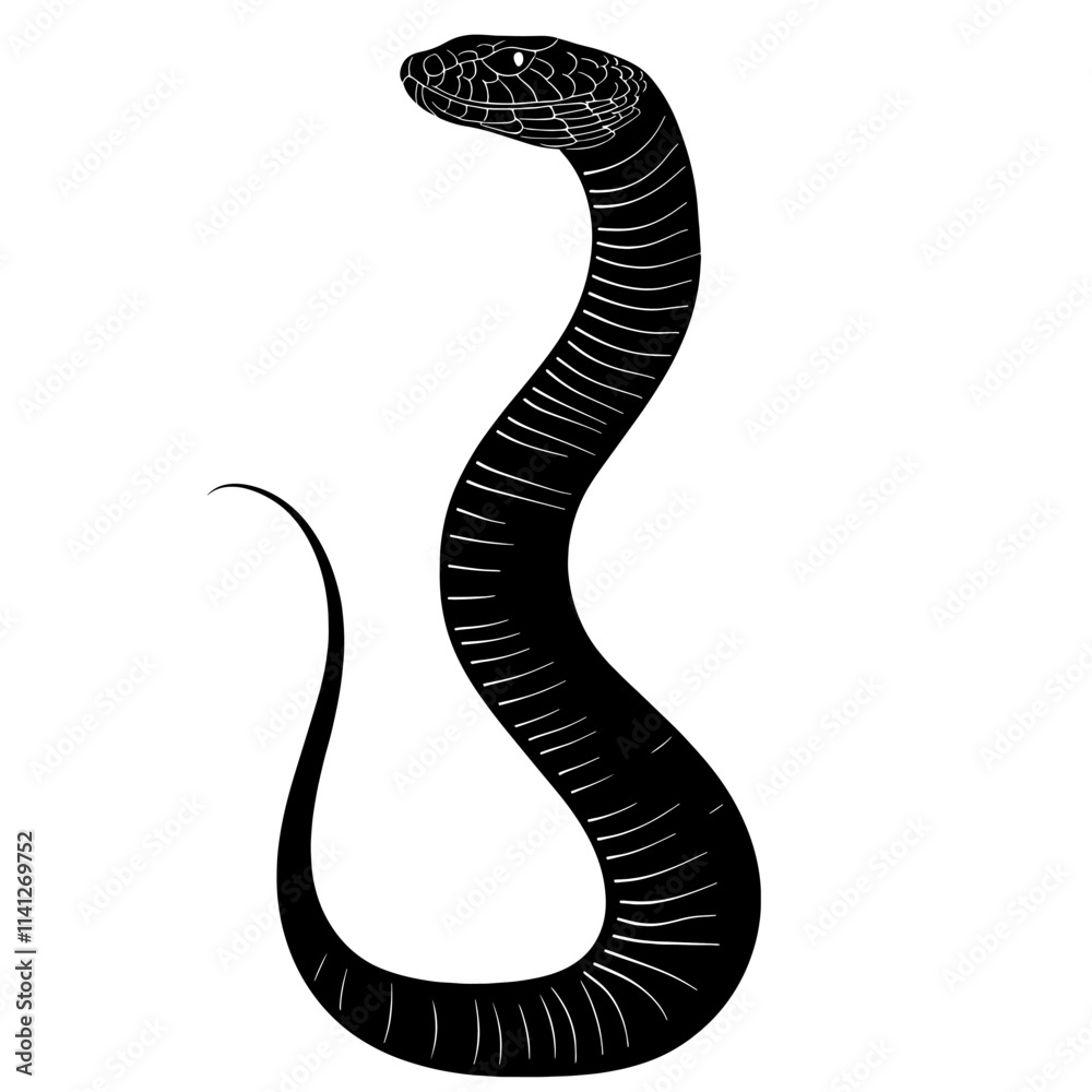 Fototapeta premium Black and white illustration of a snake.