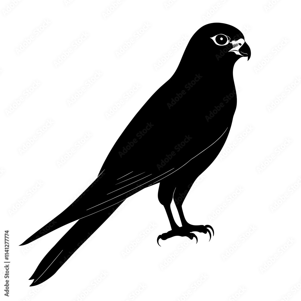 Fototapeta premium Black silhouette of a falcon. (1)