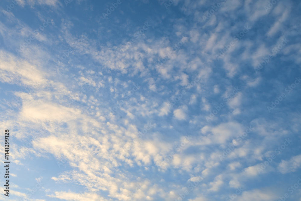 Fototapeta premium blue sky with clouds