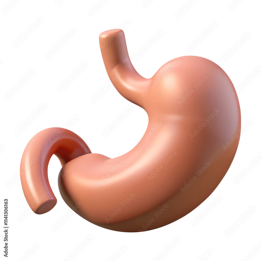 human stomach anatomy 3d render icon in cartoon plastic style minimal isolated on transparent white background, clipping path human stomach anatomy 3d render icon in cartoon plastic style minimal isolated on transparent white background, clipping path