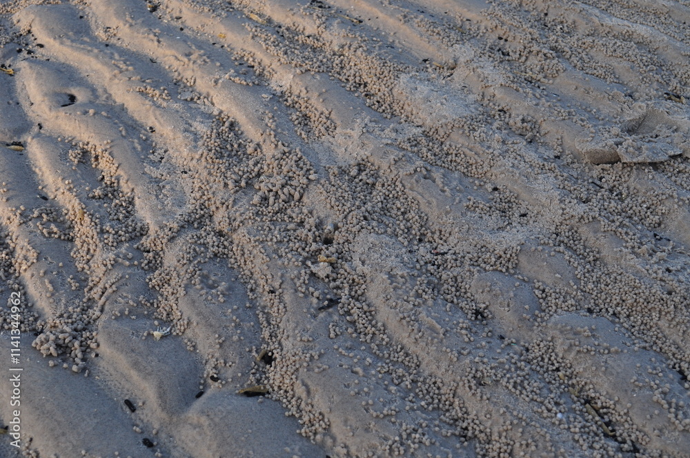 sea and sand beautiful sunlight sea and sand beautiful sunlight