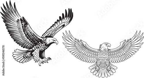 two eagles designs