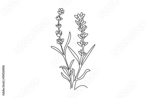 Continuous one line drawing of beauty fresh lavandula for garden logo. Printable decorative lavender flower concept for home wall decor poster art. Single line draw design vector graphic illustration