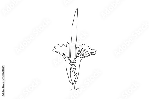 Single one line drawing beauty fresh amorphophallus titanum for home wallpaper decor art poster. Decorative titan arum flower for national park. Continuous line draw design graphic vector illustration