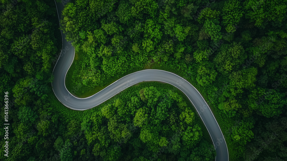 Winding Path Through Lush Forest: A serene aerial view of a winding road meandering through a vibrant green forest, showcasing the beauty of nature's intricate patterns. Winding Path Through Lush Forest: A serene aerial view of a winding road meandering through a vibrant green forest, showcasing the beauty of nature's intricate patterns.
