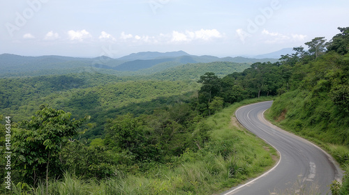 Winding Road Through Lush G...