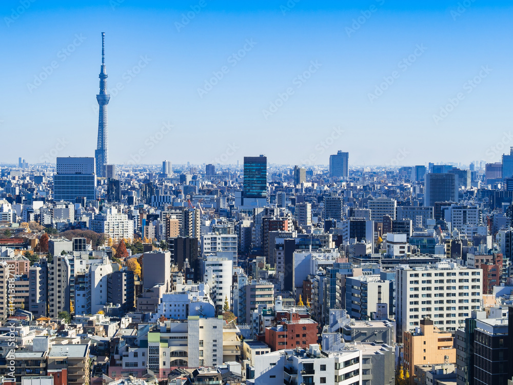 Fototapeta premium 東京 青空と都市風景