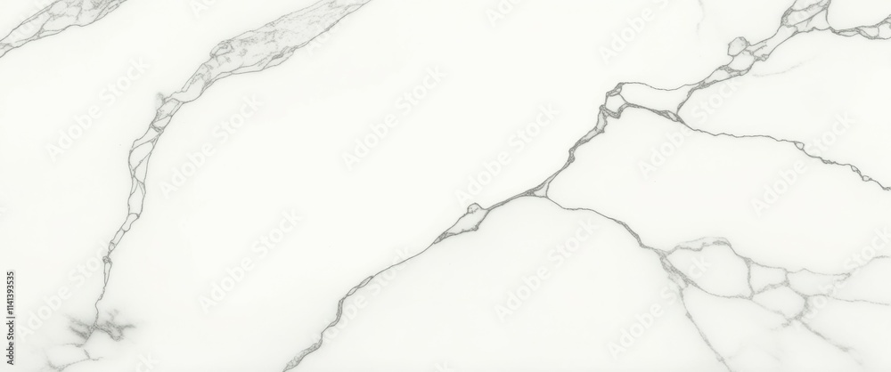 A photograph of a white marble surface with black veins, close-up view, high quality, no watermark, jpeg artifacts, no people A photograph of a white marble surface with black veins, close-up view, high quality, no watermark, jpeg artifacts, no people