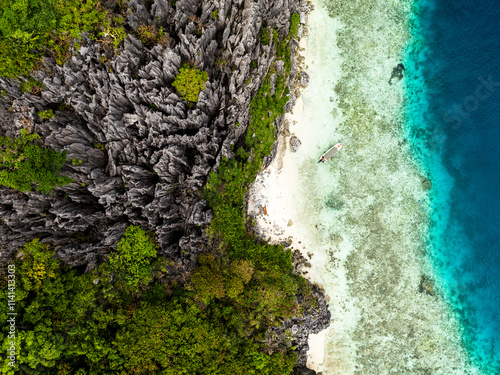 Wallpaper Mural Aerial view of a secluded beach in Palawan, Philippines, with sharp limestone cliffs, lush greenery, and crystal-clear turquoise waters. Ideal for travel and nature themes Torontodigital.ca