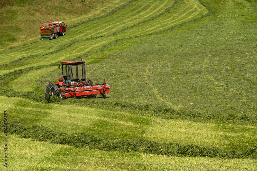 Fototapeta premium Grass cutting tool. Cutting Grass. Cutting lawn background. Lawn mower. Cut grass at field. Grass clippers. Mowing lawn. Before and after. Lawn equipment.