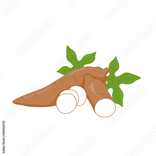 tubers illustration with sliced cassava and leaves