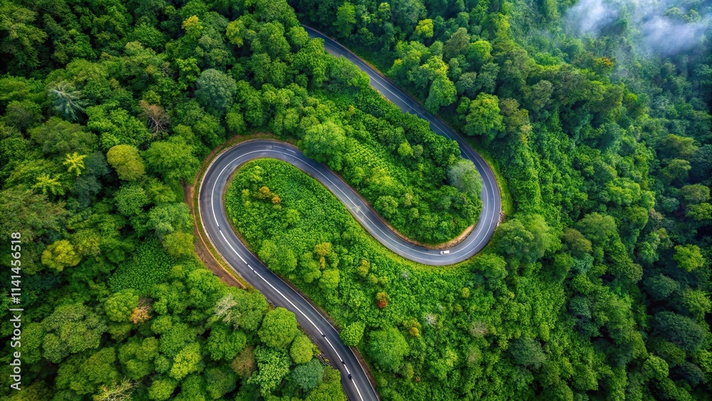 Aerial top view of a beautiful curved road cutting through lush green forest in the rainy season, road, green, aerial Aerial top view of a beautiful curved road cutting through lush green forest in the rainy season, road, green, aerial