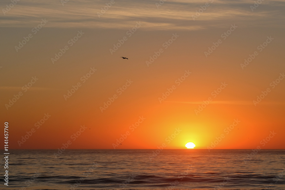 sunset on the sea sunset on the sea