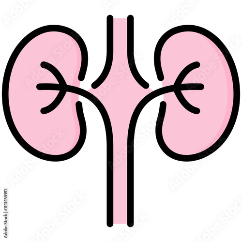 Nephrology Icon
